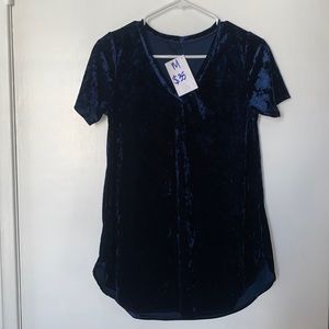 Blue crushed velvet top